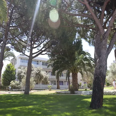 A 11 מלון
